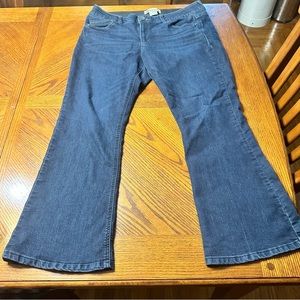 Democracy Jeans. 14p. Some stretch to them. Extremely comfortable!